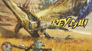 MONSTER HUNTER WILDS BETA FACING REY DAU!