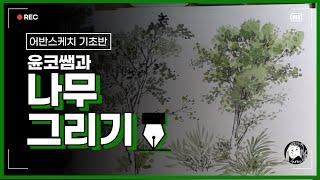 [어반스케치 기초] 나무 그리기  시작해봐요! 어반스케치, 윤코쌤과 함께