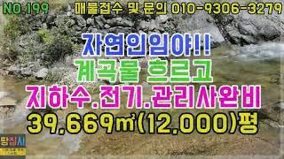 지하수, 전기, 관리사, 다 갖춘 임야 ! 맑은 계곡물 흐르고 ! 39,669㎡. 12,000평! (정선군 정선읍 임야매매)