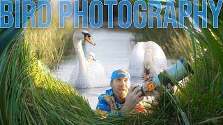 Bird Photography in the UK