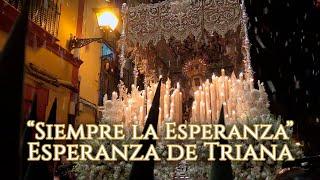 “Siempre la Esperanza” | Petalá a la Esperanza de Triana en Pureza 2019