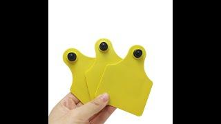 ZD technology RFID animal ear tag for cow identification management