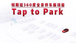 特斯拉360度全景停车功能taptopark