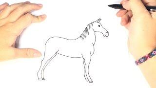 Cómo dibujar un Caballo Para Niños