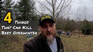 4 Things That Kill Bees Overwinter....2023 Video Topics