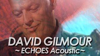 DAVID GILMOUR ：PINK FLOYD 『ECHOES Acoustic Version 』by miu JAPAN