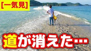 【一気見】魚釣って船代稼ぐまで帰れませんin座間味島