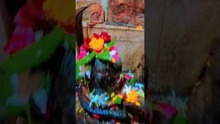 Ashutosh Shashank Shekhar  #youtubeshorts #ytshorts