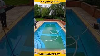 کوسه ها | فکت های جالب و دانستنی ها#فکت #دانستنی #shorts #short