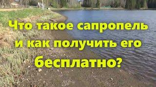 Сапропель - что это такое и как использовать (применение). Отличное удобрение для огорода.