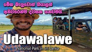 Udawalawe National Park Safari | Elephant Transit Home | Sri Lanka | Tarvel Vlog