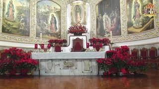 Santa Misa desde la Parroquia Basílica de Santa María de Guadalupe en Pachuca, Hgo.