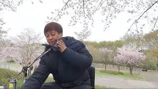 버스킹공연장