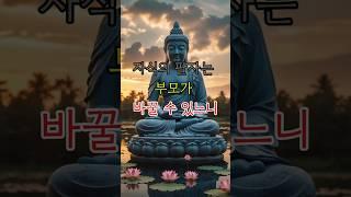 자식의 팔자는 부모가 바꿀 수 있느니