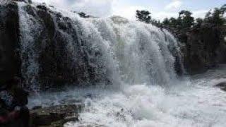 Pochera waterfall adilabad nature world