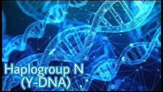 Haplogroup N (Y-DNA) Most Common Distribution of Populations