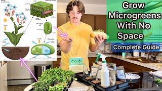 7 Tips You Didn't Know About Microgreens | 6 Day Walkthrough How to Grow Indoors & Health Science