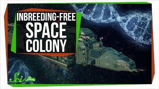 Founding An Inbreeding-Free Space Colony