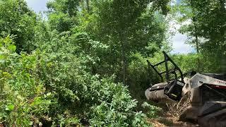 Gyro Trac 500HF Forestry Mulcher Demo and Review.