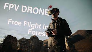 Free FPV Cinewhoop flight in Faget Forest - Cluj Napoca