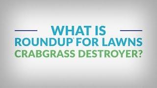 How to Use Roundup® for Lawns Crabgrass Destroyer with Comfort Wand