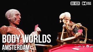 Explore the Human Body at BODY WORLDS Amsterdam: A Must-See Tour -  Netherlands [8K HDR]