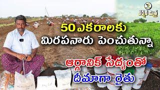 ఆర్గానిక్ మిరప సేద్యంతో రైతుకు భరోసా || Organic Chilli Farming || Karshaka Mitra