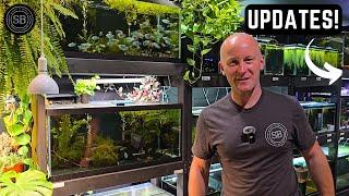 TONS OF NEW TANKS AND FISH IN THIS TROPICAL FISH ROOM TOUR!