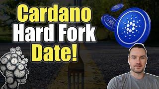 Cardano Chang Hard Fork Updates and Dates!