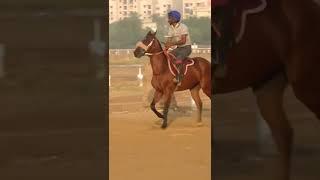 The Duke | KRC Horse Racing | Morning work | Karachi Race Club |