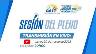 Sesión ordinaria No. 17-PLE-CNE-2023