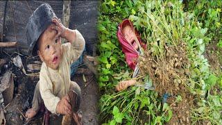 The orphan boy picked peanuts to sell. They were robbed by two children in the village.