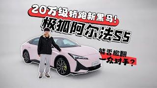 20万级轿跑新黑马！极狐阿尔法S5能否掀翻一众对手？