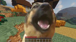 eyy, gtfo outta here dog meme minecraft version