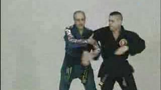 Combat Hapkido