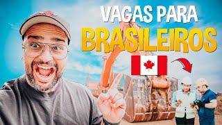 6 Profissões Para BRASILEIROS imigrarem mais rápido para o CANADÁ e começarem do zero!