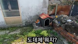 제주도 서쪽에 골때리는 부동산