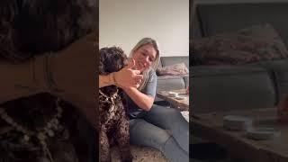 Does Animigo Paw and Nose Balm for Dogs and Cats Really Work? Honest Review!