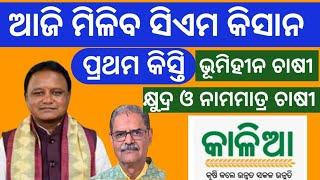 CM Kisan 1st installment today | CM kisan money transfer today | Kalia yojana money transfer today |