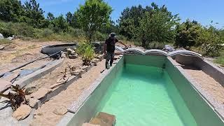 Extreme Pond Planting! Homestead Daily Life, New Chicks And Moving Pigs - 257
