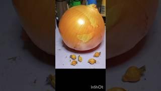 Haz Increíbles Miniaturas para decorar Belenes o Maquetas/ comida en miniatura