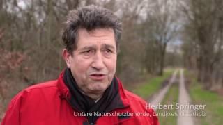 Moorrenaturierung im Windpark Klingenberg