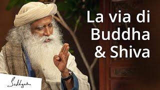 La via di Shiva e Buddha | Sadhguru Italiano