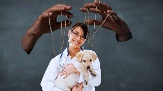 This Is How Most Veterinarians Became Corporate Tools