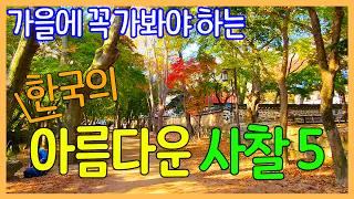 세상 어디에도 없는 한국의 아름다운 가을 사찰 5곳 | 단풍 여행 명소 | 대한민국 좋은 여행지 | Korea Temples