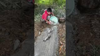 Survival Fishing Skills | Catch Catfish by Unique Fishing | JFWE3RW