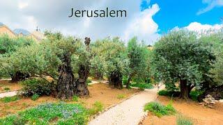 Jerusalem. From The Garden Tomb to The Garden of Gethsemane.