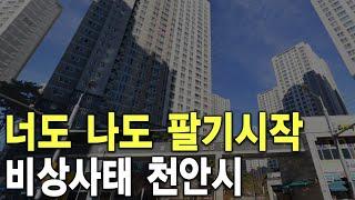 비상사태 천안시 너도 나도 팔기 시작