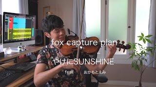 fox capture plan / やけにSUNSHINE feat. おかもとえみ (Jason Yang cover)