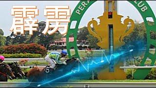 【马来西亚賽馬】霹雳賽日 10月 20日 分析指标 | PERAK RACE ANALYSIS